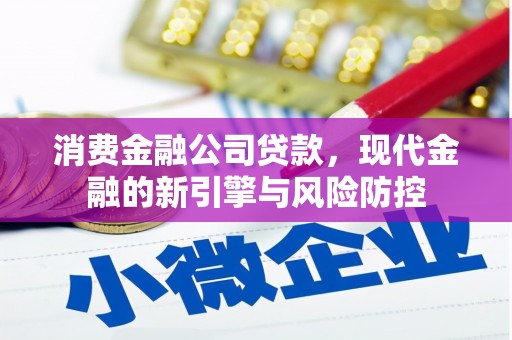 台南消费金融公司贷款，现代金融的新引擎与风险防控