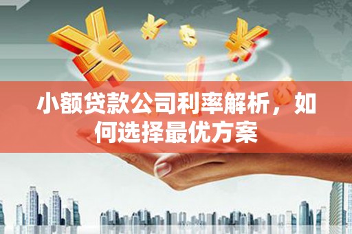 台南小额贷款公司利率解析，如何选择最优方案