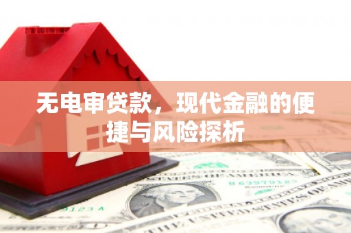 台南无电审贷款，现代金融的便捷与风险探析
