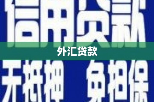 台南外汇贷款