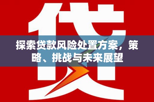 台南探索贷款风险处置方案，策略、挑战与未来展望