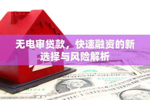 台南无电审贷款，快速融资的新选择与风险解析