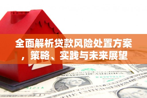 台南全面解析贷款风险处置方案，策略、实践与未来展望