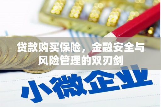 台南贷款购买保险，金融安全与风险管理的双刃剑