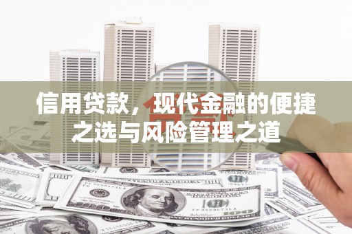 台南信用贷款，现代金融的便捷之选与风险管理之道
