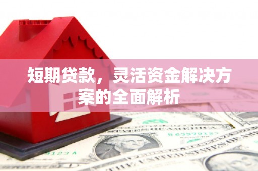 台南短期贷款，灵活资金解决方案的全面解析