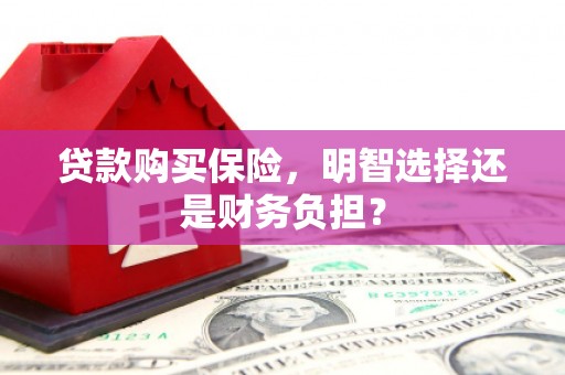 台南贷款购买保险，明智选择还是财务负担？