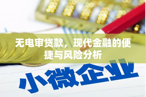 台南无电审贷款，现代金融的便捷与风险分析