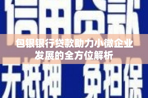 台南包银银行贷款助力小微企业发展的全方位解析