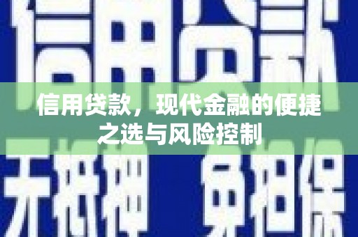 台南信用贷款，现代金融的便捷之选与风险控制