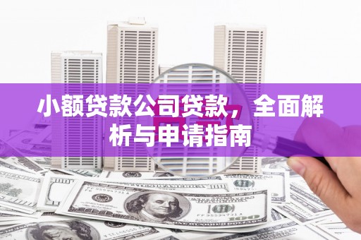 台南小额贷款公司贷款，全面解析与申请指南