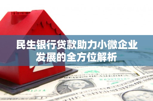 台南民生银行贷款助力小微企业发展的全方位解析