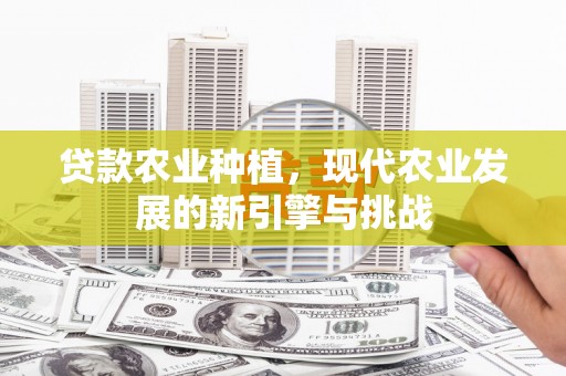 台南贷款农业种植，现代农业发展的新引擎与挑战