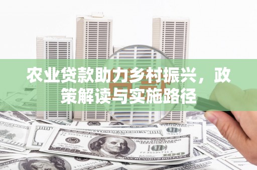 台南农业贷款助力乡村振兴，政策解读与实施路径