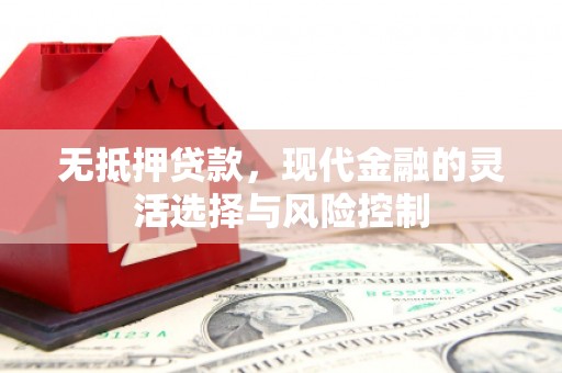 台南无抵押贷款，现代金融的灵活选择与风险控制