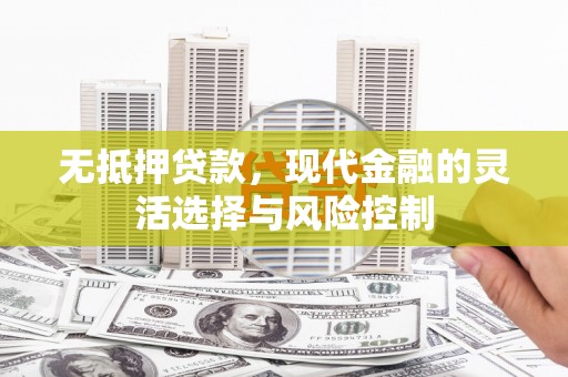 台南无抵押贷款，现代金融的灵活选择与风险控制