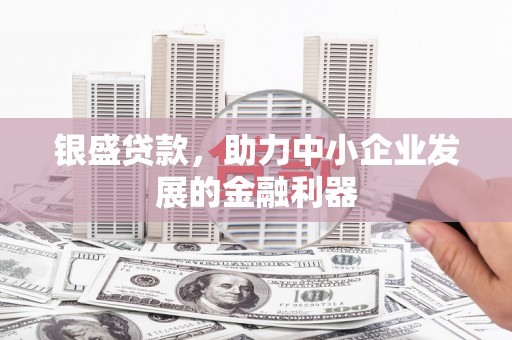 台南银盛贷款，助力中小企业发展的金融利器