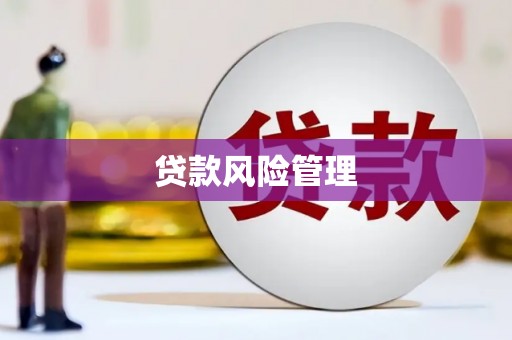 台南贷款风险管理
