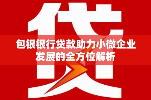 台南包银银行贷款助力小微企业发展的全方位解析