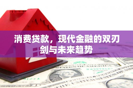 台南消费贷款，现代金融的双刃剑与未来趋势