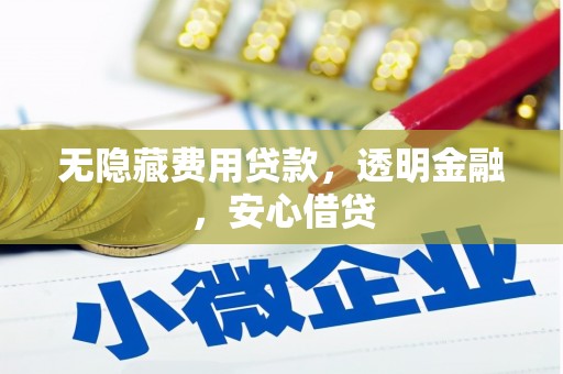 台南无隐藏费用贷款，透明金融，安心借贷