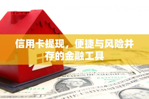 台南信用卡提现，便捷与风险并存的金融工具