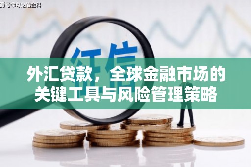 台南外汇贷款，全球金融市场的关键工具与风险管理策略