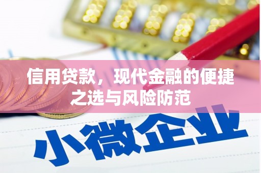 台南信用贷款，现代金融的便捷之选与风险防范