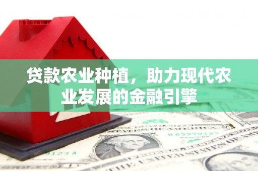 台南贷款农业种植，助力现代农业发展的金融引擎