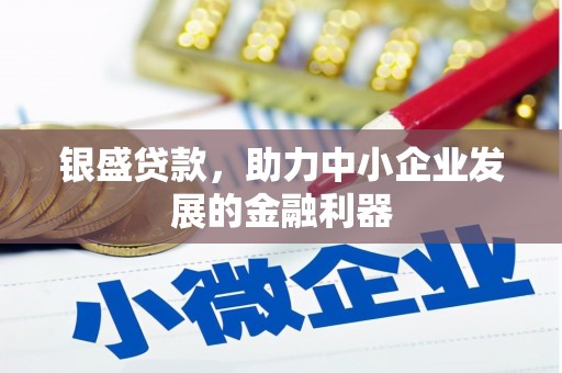 台南银盛贷款，助力中小企业发展的金融利器
