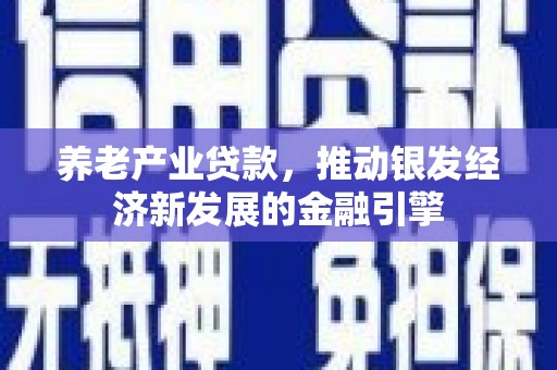台南养老产业贷款，推动银发经济新发展的金融引擎