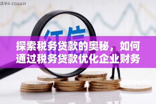 台南探索税务贷款的奥秘，如何通过税务贷款优化企业财务