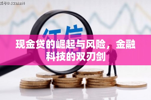 台南现金贷的崛起与风险，金融科技的双刃剑