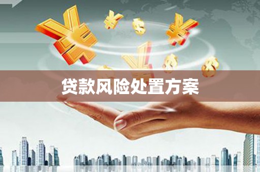 台南贷款风险处置方案