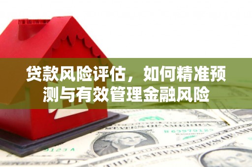 台南贷款风险评估，如何精准预测与有效管理金融风险