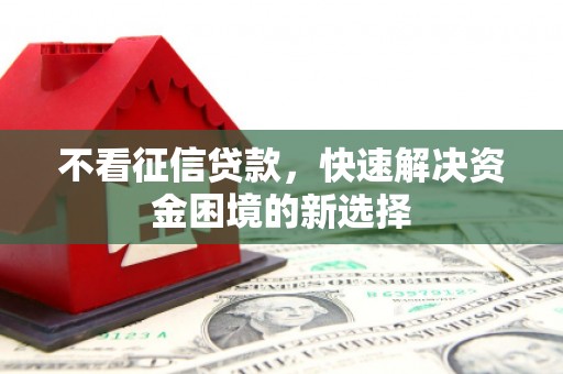 台南不看征信贷款，快速解决资金困境的新选择
