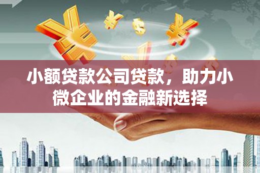 台南小额贷款公司贷款，助力小微企业的金融新选择
