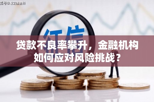 台南贷款不良率攀升，金融机构如何应对风险挑战？