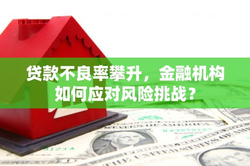 台南贷款不良率攀升，金融机构如何应对风险挑战？