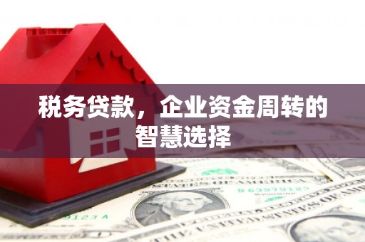 台南税务贷款，企业资金周转的智慧选择