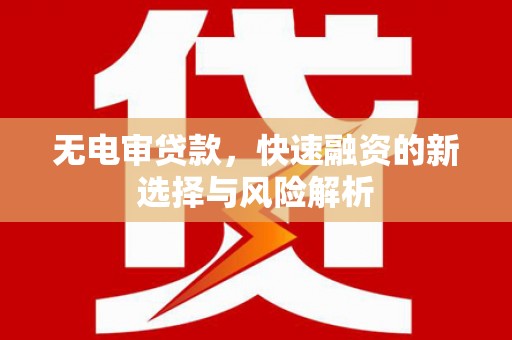 台南无电审贷款，快速融资的新选择与风险解析