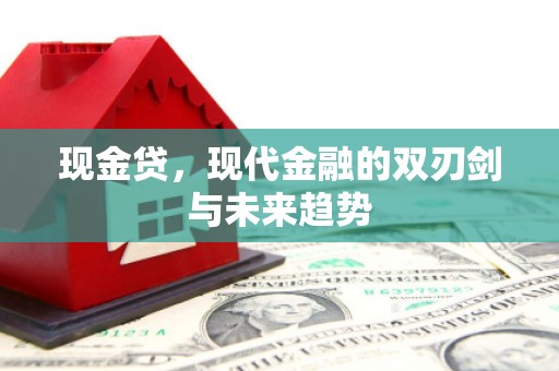 台南现金贷，现代金融的双刃剑与未来趋势