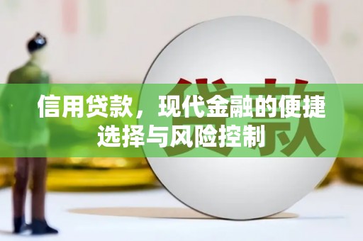 台南信用贷款，现代金融的便捷选择与风险控制