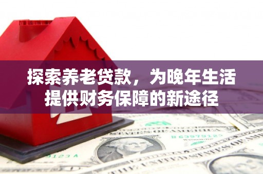 台南探索养老贷款，为晚年生活提供财务保障的新途径