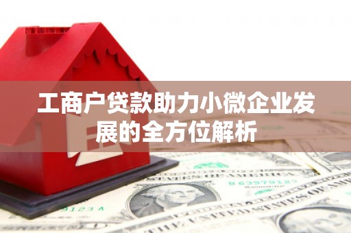 台南工商户贷款助力小微企业发展的全方位解析