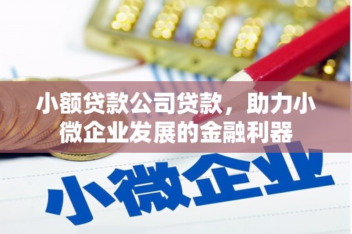 台南小额贷款公司贷款，助力小微企业发展的金融利器