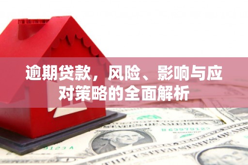 台南逾期贷款，风险、影响与应对策略的全面解析