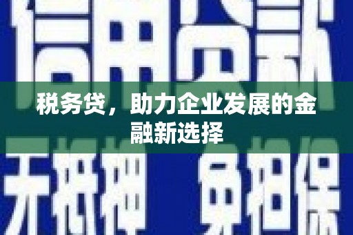 台南税务贷，助力企业发展的金融新选择