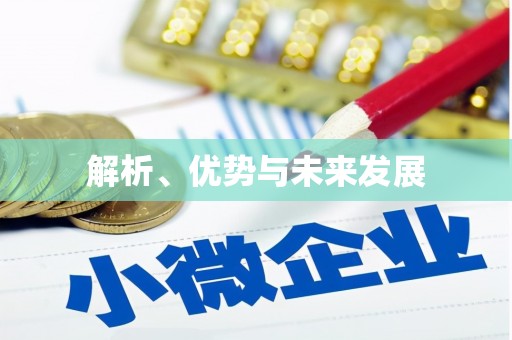 台南解析、优势与未来发展
