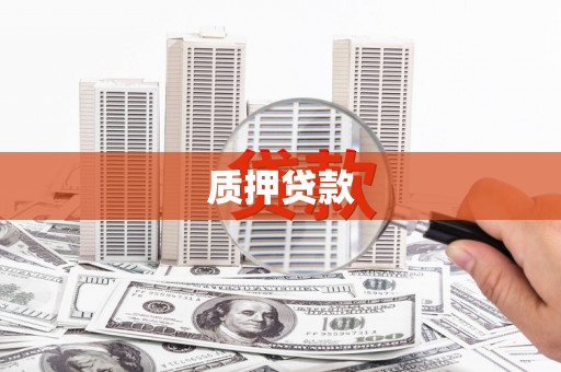 台南质押贷款